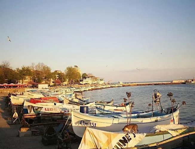 Pensión флора Pomorie