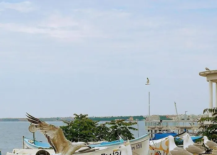 Pensión флора Pomorie