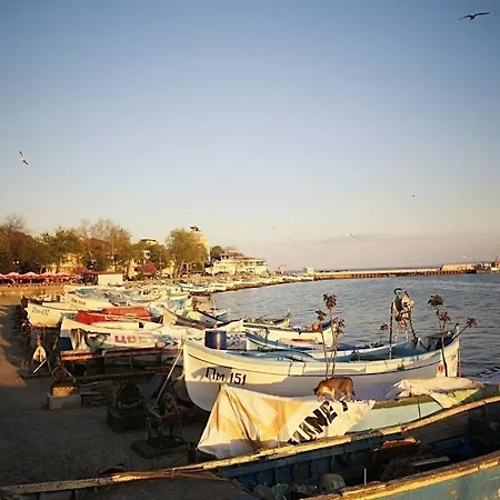 Guest house флора Pomorie